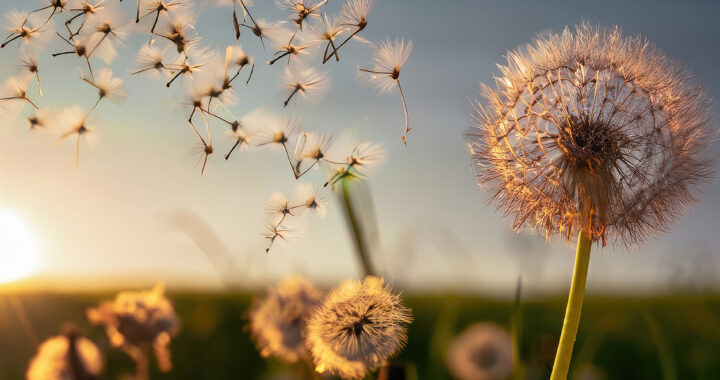 The Future of Real Estate: Trends to Watch in 2025 - Avya Builders Blog